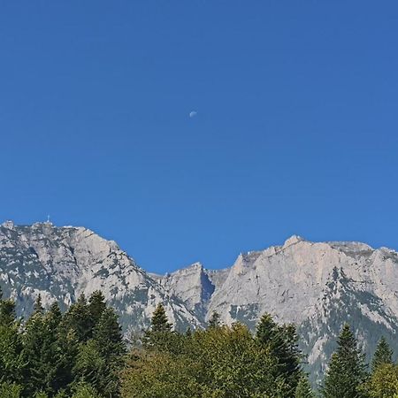 Pensiunea Luna Buşteni Esterno foto