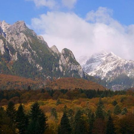 Pensiunea Luna Buşteni Esterno foto
