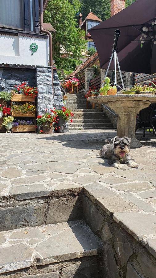 Pensiunea Luna Buşteni Esterno foto