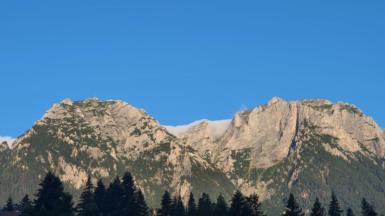 Pensiunea Luna Buşteni Esterno foto