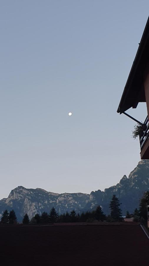 Pensiunea Luna Buşteni Esterno foto